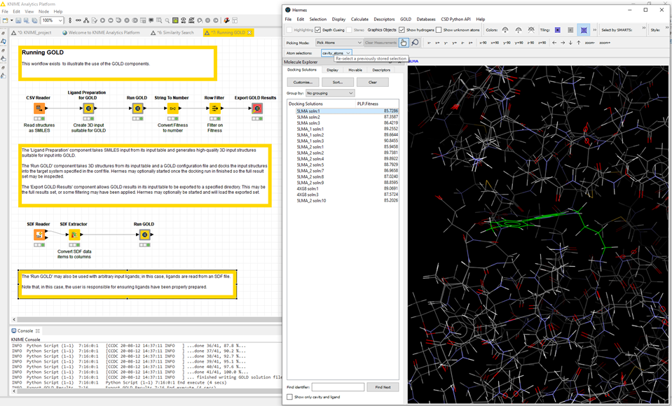 GOLD Docking example workflow