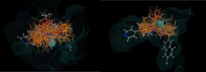 CSD Linker Database showing results superimposed on the original molecule