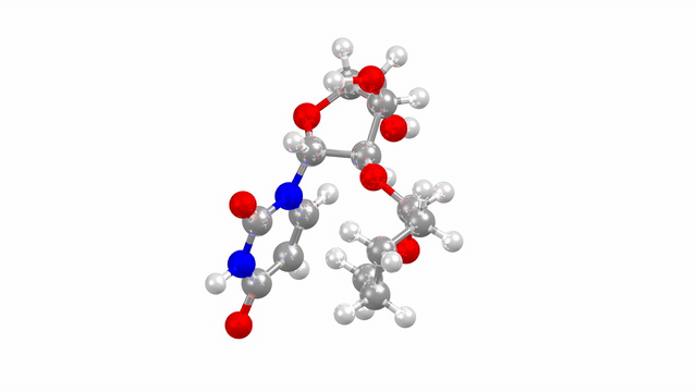 CSD Entry JOSCAV - a uridine structure and one of Olga Kennard's most recent structures published in 1991